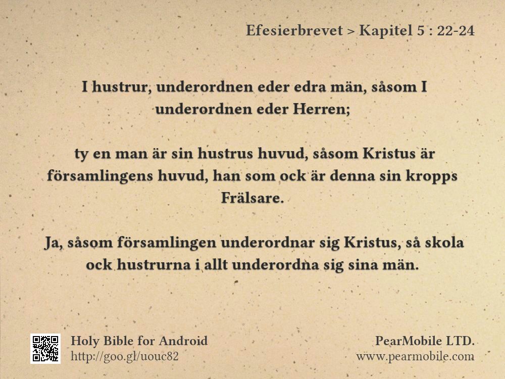 Efesierbrevet, Kapitel 5:22-24